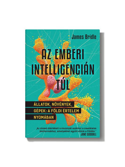 James Bridle: Az emberi intelligencián túl