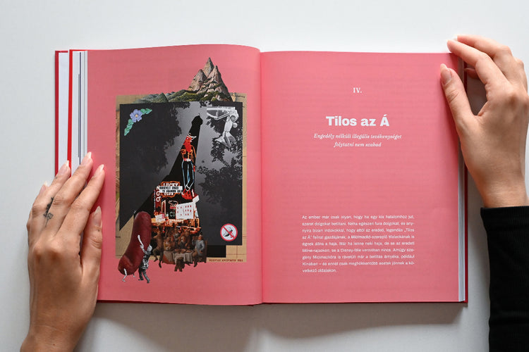 Észkombájn 2 könyv