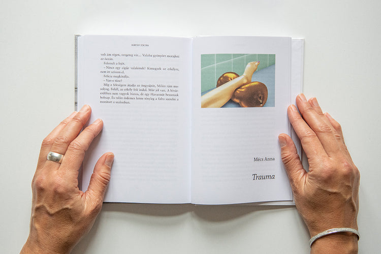 A fukusimai búvár és más novellák