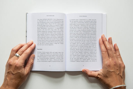 A fukusimai búvár és más novellák